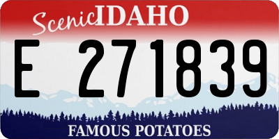 ID license plate E271839