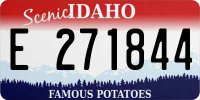 ID license plate E271844