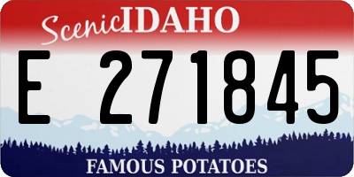ID license plate E271845