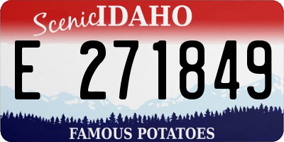 ID license plate E271849