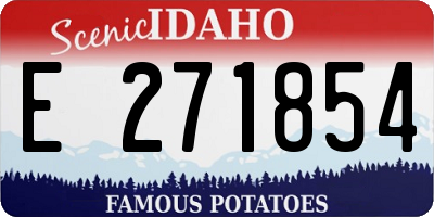 ID license plate E271854