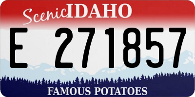 ID license plate E271857