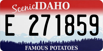 ID license plate E271859