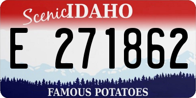ID license plate E271862