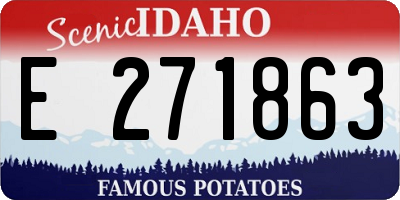 ID license plate E271863