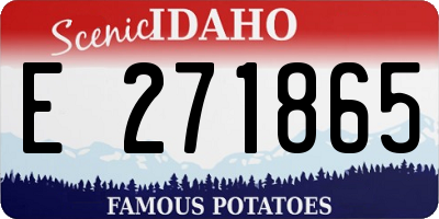 ID license plate E271865