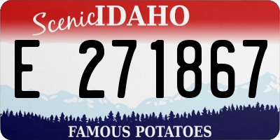 ID license plate E271867