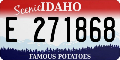 ID license plate E271868
