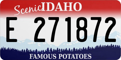 ID license plate E271872