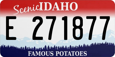 ID license plate E271877