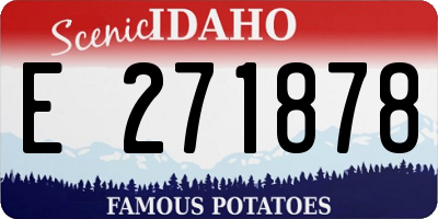 ID license plate E271878