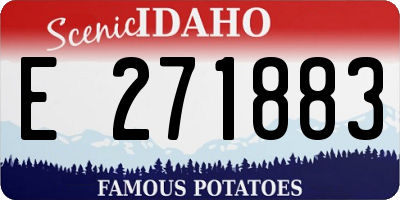 ID license plate E271883