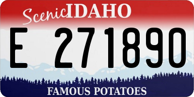 ID license plate E271890
