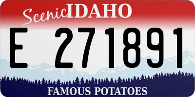 ID license plate E271891