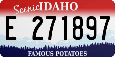 ID license plate E271897