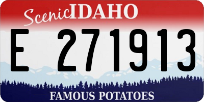 ID license plate E271913