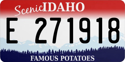 ID license plate E271918