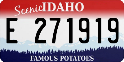ID license plate E271919