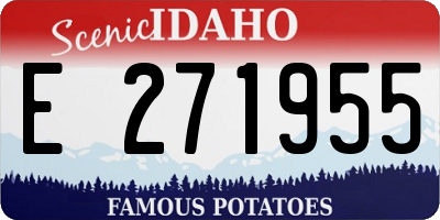 ID license plate E271955