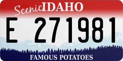 ID license plate E271981
