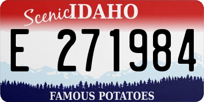ID license plate E271984