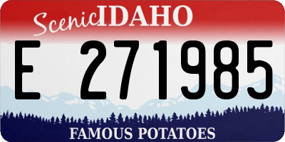 ID license plate E271985