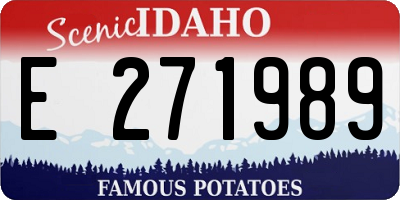 ID license plate E271989