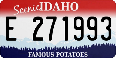 ID license plate E271993