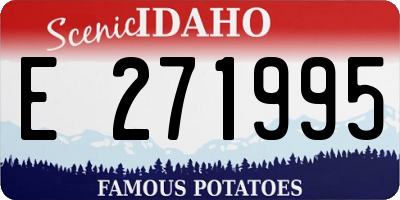 ID license plate E271995
