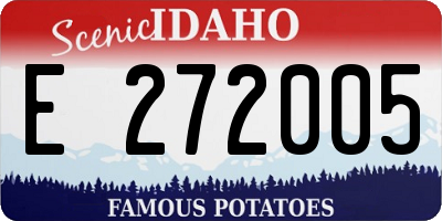 ID license plate E272005