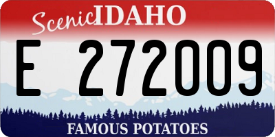 ID license plate E272009
