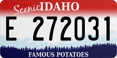 ID license plate E272031
