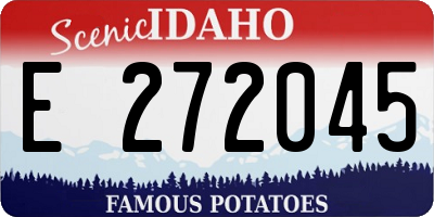 ID license plate E272045