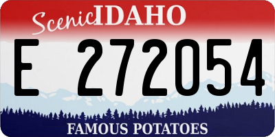 ID license plate E272054