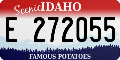 ID license plate E272055
