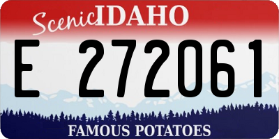 ID license plate E272061
