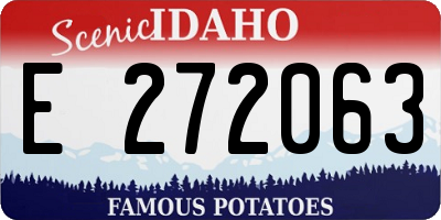 ID license plate E272063