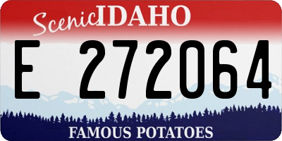ID license plate E272064