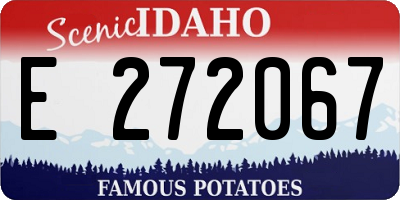 ID license plate E272067