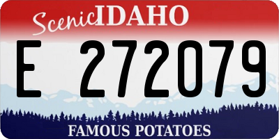 ID license plate E272079