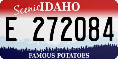 ID license plate E272084