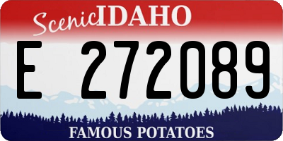 ID license plate E272089
