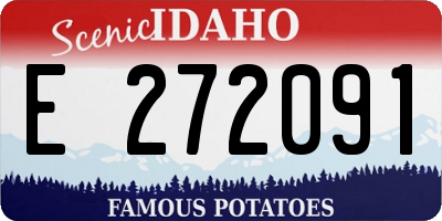 ID license plate E272091