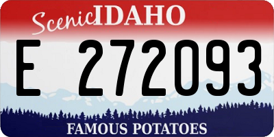 ID license plate E272093