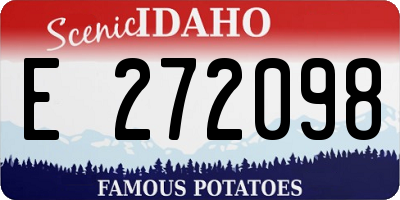ID license plate E272098