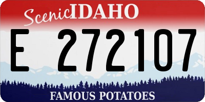 ID license plate E272107