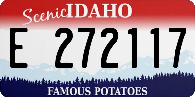 ID license plate E272117