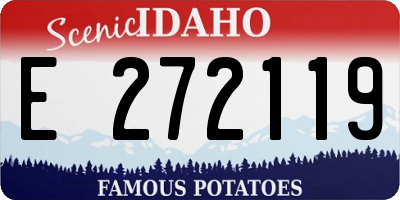 ID license plate E272119