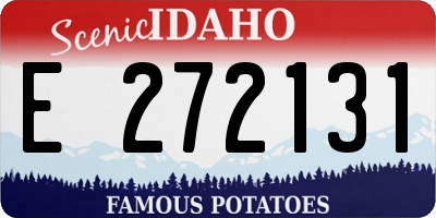 ID license plate E272131