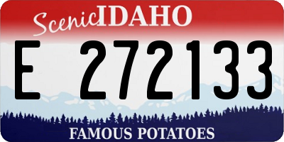 ID license plate E272133